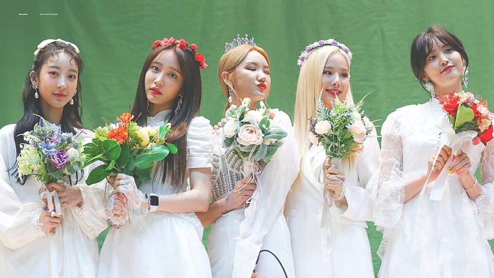 EXID